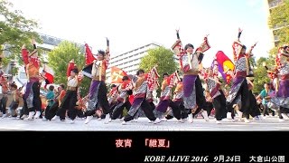 夜宵　「紲夏」　KOBE ALIVE 2016 １日目　大倉山公園