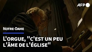 Rencontre avec Thierry Escaich, organiste chargé du réveil de l'orgue de Notre-Dame | AFP