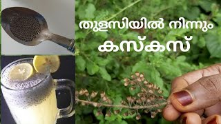 HOW TO MAKE CUSCUS FROM THULASI ? |എങ്ങനെ തുളസിയിൽ നിന്നും കസ്കസ് ഉണ്ടാക്കാം | Malayalam Recipe