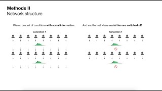 CogSci 2020: Population-level amplification of perceptual bias