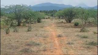 17ஏக்கர் விற்பனைக்கு 15லச்சம் ஏக்கர் //agri land sales//low budjet land