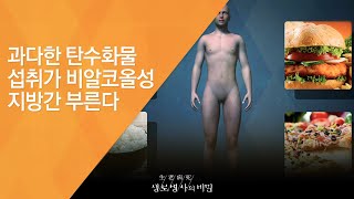 과다한 탄수화물 섭취가 비알코올성 지방간 부른다 - (2015.11.25_563회 방송)_내 몸의 시한폭탄! 지방간(肝)의 경고