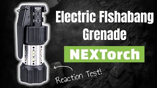 Testing the NexTorch ND30B - Electric Flashbang Grenade! | The Tactical Rabbi