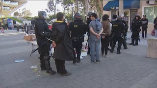 Police dismantle UC San Diego encampment, arrest protestors on campus