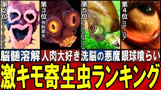 【閲覧注意】 不快を極めた最悪の寄生虫 TOP10【ゆっくり解説】【総集編】