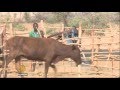 Zimbabwe declares 'state of disaster' due to drought