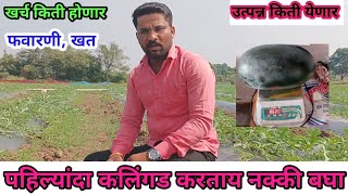 पहिल्यांदा कलिंगड करताय 🍉 | खर्च, उत्पन्न, भाव | डिसेंबर कलिंगड लागवड | हिवाळी कलिंगड |  @NadSheti