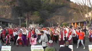 有田焱yosakoi祭　有田陶器団地　総踊