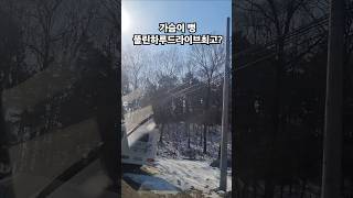 별빛같은나의사랑아ㆍ임영웅  가슴 뻥뚫린하루 시골길드라이브가최고여! #music #강아지음악 #미스터트롯2 #강아지 #트로트 #dance #여행 #음악 #노래 #트롯천재