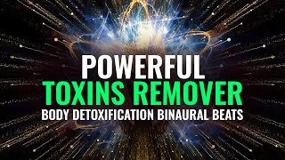 Detox Frequency: 528 Hz + 741 Hz Frequencies to Remove Toxins