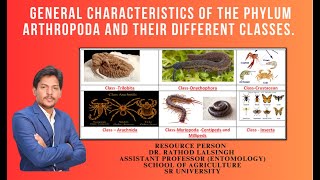 GENERAL CHARACTERISTICS OF ARTHROPODA