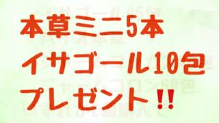 旭川市　漢方相談　ダイエット　デトックス　脂肪買取