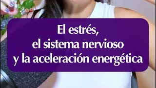 La aceleración energética, el sistema nervioso y el proceso de evolución.