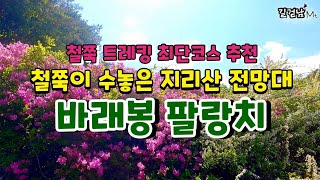 지리산 철쭉 바래봉 팔랑치 철쭉 절정시기_드론영상