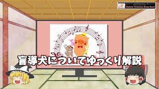 【ゆっくり解説】盲導犬について解説