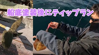 【冬イカ】船底掃除後にティップラン