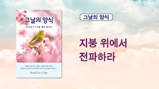 그날의 양식 - 지붕 위에서 전파하라