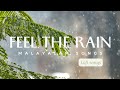 Malayalam rain mood songs🌧️ | Lofi songs | Malayalam