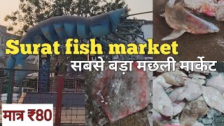 सूरत का सबसे बड़ा फिश मार्केट || Surat ka sabse bada fish market मात् 80मे #MachhaliMarketSurat