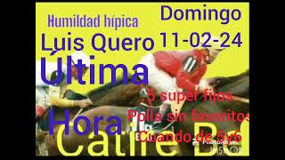 última hora 5 super fijos polla sin favoritos y cuadro de 5y6 domingo 11-02-24 humildad hipica