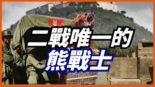 【波蘭戰熊】全球唯一一頭擁有軍銜的熊，曾參加過二戰，喜歡抽煙喝酒摔跤