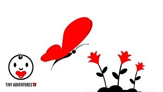 Baby Sensory - Black White Red Animation - Fly Fly Butterfly - Infant Visual Stimulation
