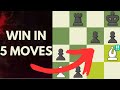 The 7 Chess Traps Every Chess Player MUST Know