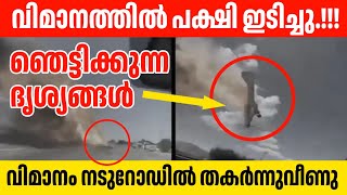 🔴വിമാനത്തിൽ പക്ഷി ഇടിച്ചു ‼️ ഞെട്ടിക്കുന്ന ദൃശ്യങ്ങൾ പുറത്ത് Flight Crash Aflu World | Mrz Thoppi