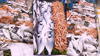 Prices and types of fish today in Algeria / fish market today, fishing port