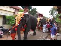 ನೋಡಿ ಈ ಆನೆ ಹೇಗೆ ಕಿಕ್ ಕೊಡುತ್ತೆ ಅಂತ