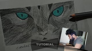 How to Draw Realistic Cat for BEGINNERS | Fur Drawing Technique|creator