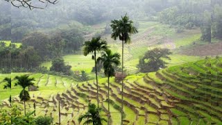 Narampanawa sri lanka | travel with friends🐾🌴