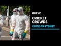 Cricket fans take extreme measures to stay COVID safe at SCG Test | ABC News