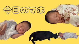 生まれたての赤ちゃん/赤ちゃんの寝顔/白目むく赤ちゃん/熟睡中の赤ちゃん