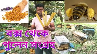 Bee Pollen || মৌমাছির বক্স থেকে কি ভাবে পুলেন সংগ্রহ সঙ্গে করা হয়। 01710480313