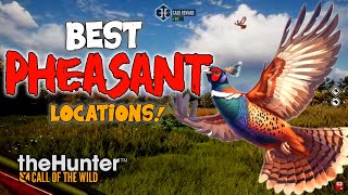 NEW PHEASANT GREAT ONE MAP: Top Hot Spots Revealed!
