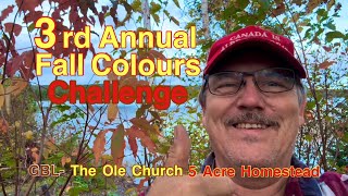 📸🍁3rd Annual Fall Colours Challenge 2024 #fall #challenge #autumn #colours