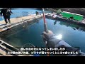 【海上釣堀】ウキ釣りを極めるために必要なこと～釣れない時間に魚を釣るコツ～ウキ釣りをもう一歩先へ