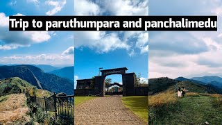 Travel experience from panchalimedu and paruthumpara #kerala