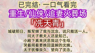 【已完结】一口气看完｜追妻火葬场｜重生｜ 城破那日，叛军绑了我与沈念，说只能活一人。问太子救夫人还是知己。太子犹豫良久，望向了沈念…..#一口气看完 #已完结 #追妻火葬场 #重生小说 #仙侠 #反转