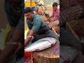 KASIMEDU SPEED SELVAM FISH CUTTING VIDEO FF CUTTING #kasimeduselvam #fishcutting #youtubeshorts