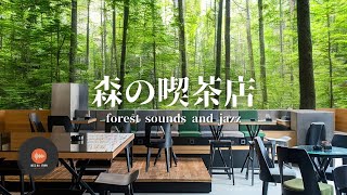 環境音＋JAZZ やさしい森の喫茶店 自然環境音 リラックスカフェ CAFE MUSIC リラックス 鳥のさえずり 川のせせらぎ 作業 勉強 - 作業用BGM