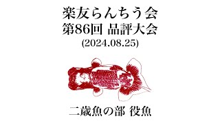 楽友らんちう会2024品評大会 二歳魚の部 役魚