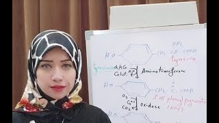 ( Protein Metabolism Session 17) Aromatic Amino Acids Cont