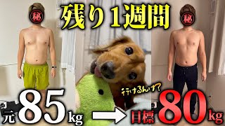 【ついに残り1週間…】果たしてどこまで痩せることができるのか？【ダイエットチャレンジ#12】