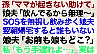 【スカッとする話】孫「ママが起きない助けて」娘夫「飲んでるから無理〜」SOSを無視し飲み歩く娘夫　翌朝帰宅すると誰もいない　娘夫「お前も娘もどこ？」私「もう手遅れよ…」実は【修羅場】