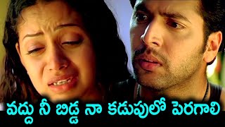 వద్దు నీ బిడ్డ నా కడుపులో పెరగాలి | Paga Telugu Movie Back To Back Scenes | Telugu Movie Talkies