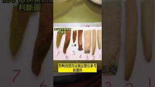 鹿鹿好可愛-鹿角蕨孢子葉熟成程度，別再浪費孢子了