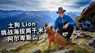 [ENG中文 SUB] EXPLORING THE ALPS with My Chinese DOG!