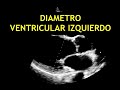 Como medir los DIAMETROS DEL VENTRICULO IZQUIERDO: Ecocardiografia!